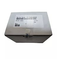 Печатающая головка Epson F173090 (оригинал)